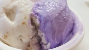 Two vegan flavors plus matcha(no thx) at Dasher & Crank in Miami