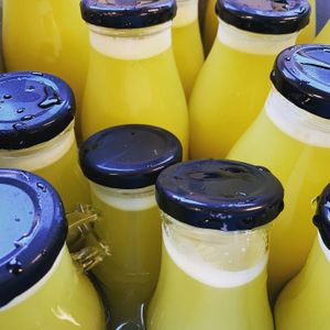 Ingwer-Ananas-Apfel-Zitrone Saft at meinRad in Luzern