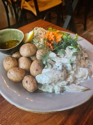 Sahne Hering at Försters in Berlin