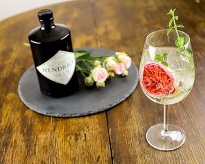 Gin Tonic at Försters in Berlin