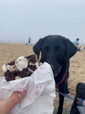   at Go Go Beets in Edinburgh