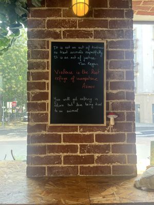   at Végéman in Strasbourg