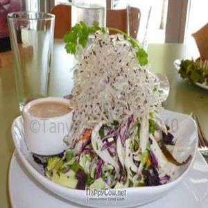 Asian style noodle salad, with kelp noodles at Beets Cafe in Austin