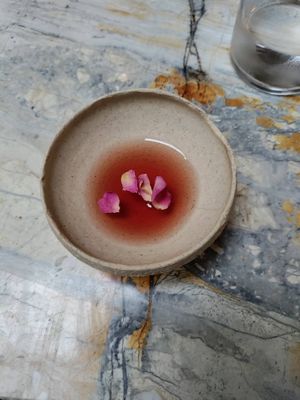 Palate cleanser at MESA Restaurant in Paris
