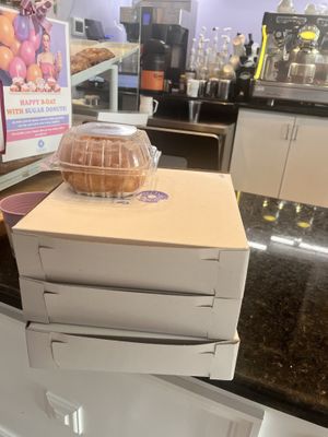   at Sugar Donuts in Charlotte