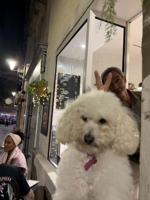   at Peacefood Cafe in Montpellier