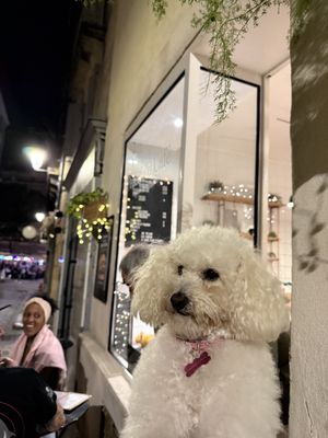   at Peacefood Cafe in Montpellier