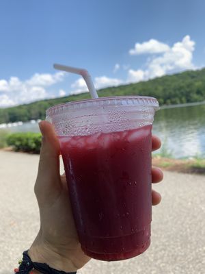 sorrel + ginger/lemon juice combo 👌 at Vege Kingdom Cafe in Newark