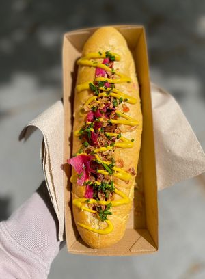 Putsch dog  at Putsch in Montreuil