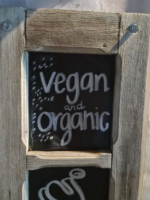  at Elela in Valladolid