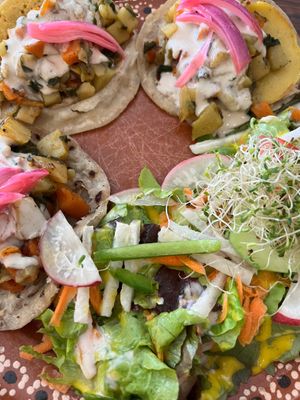  at Elela in Valladolid