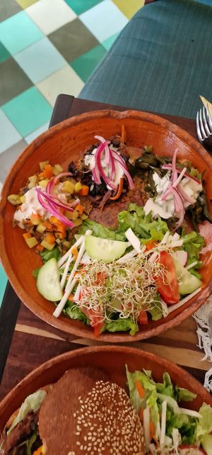 Salbutes at Elela in Valladolid