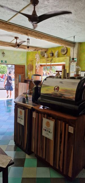 The bar at Elela in Valladolid