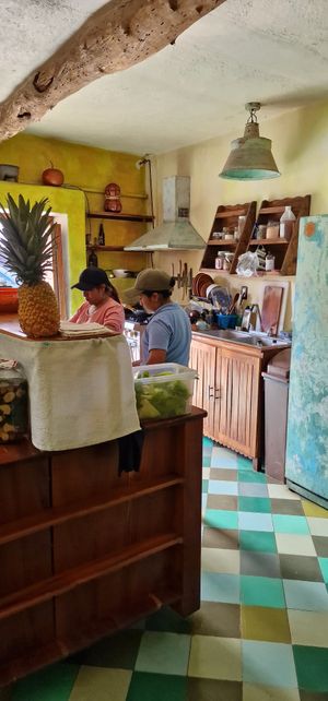 The kitchen at Elela in Valladolid