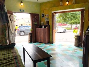 View from inside at Elela in Valladolid