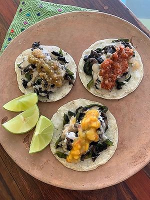 Tacos de Rajas at Elela in Valladolid