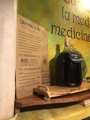 MIEL DE ABEJA - NO VEGAN  at Elela in Valladolid