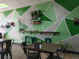 Bookshelves on the wall at Vegan Town in Johnson City