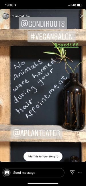 No Animals were harmed during your hair appointment  at Gondi Roots Salon in Cardiff