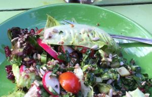 grains and greens salad with local dark cider at Laughing Planet Cafe - Mississippi in Portland