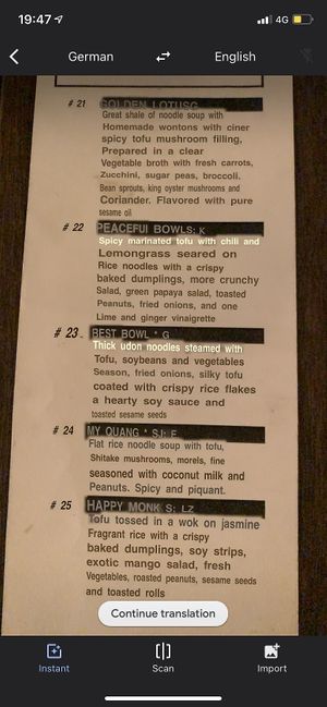 They didn’t have english menu so used google translate at TA Vegan House in Hamburg