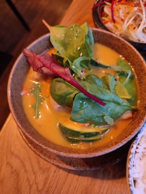 Curry at TA Vegan House in Hamburg