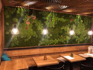 the living wall.....amazing stuff at TA Vegan House in Hamburg