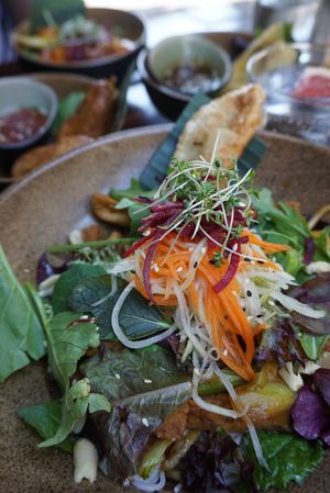 Peaceful Bowl with tofu, papaya salad, rice noodles, like ginger vinaigrette at TA Vegan House in Hamburg