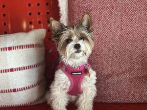   at Strive Foods in Sandy Springs