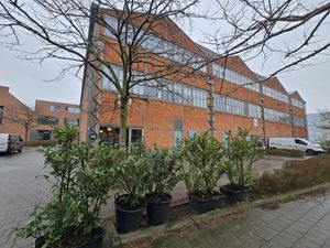 Front. Its on the corner on the left at Amour in Ghent