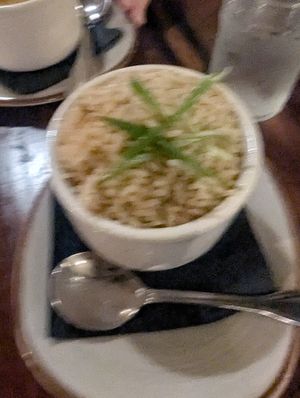  at Oyo in Pleasanton