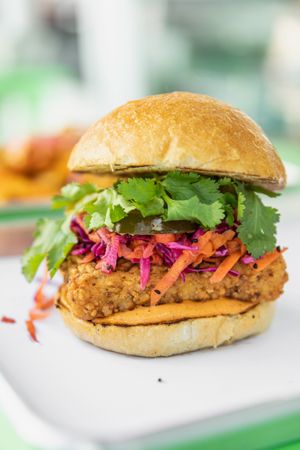 La Muy Crispi - Tofu frito, glaseado de chile coreano, ensaladilla de col, cilantro, 
salsa de chipotle con cacahuate
 at Fat Vegan in Mexico City
