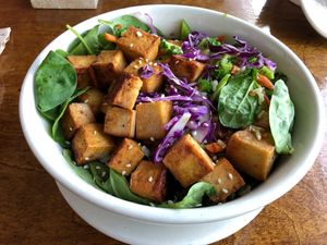 Lotus Bowl at Lotus Cafe at Lotus Cafe and Juice Bar in Encinitas