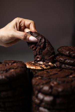 Double Chocolate cookie at It's a Trap in Dublin