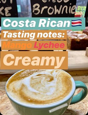 One of our favourites.. Costa Rican, Las Lajas latte.  at Ethos Brothers in Brentwood
