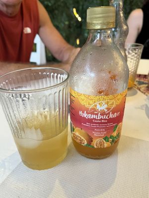 They had a couple of kombucha flavors to choose from   at Casa Rio in Cocles