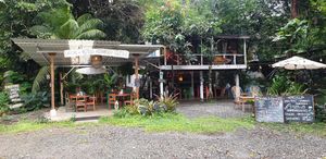 View from the road at Casa Rio in Cocles