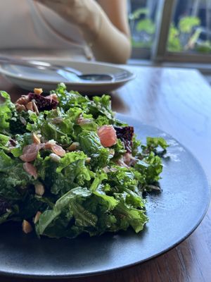   at Optimus Cafe in Osaka