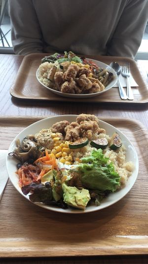 Karage bowl at Optimus Cafe in Osaka