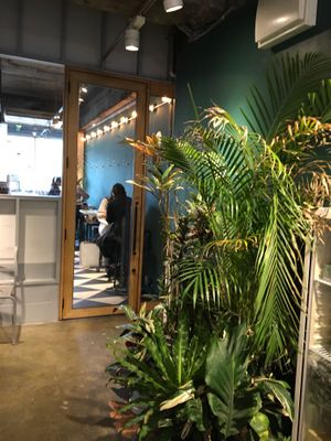 Inside at Optimus Cafe in Osaka