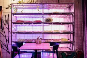 Interior at Tsiniki in Moscow