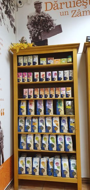 Organic plants for tea at PlantShop in Oradea