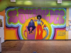 Inside at JuiceLand - Westheimer Rd in Houston