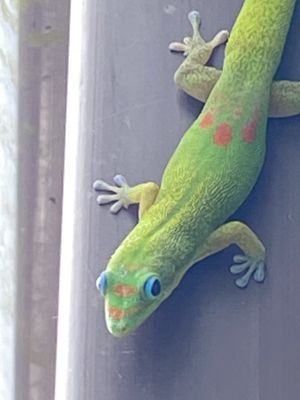 Hello! My name is Charles. What’s yours?  at Leahi Health in Koloa