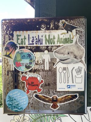   at Leahi Health in Koloa