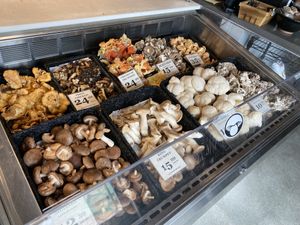   at Far West Fungi in Santa Cruz