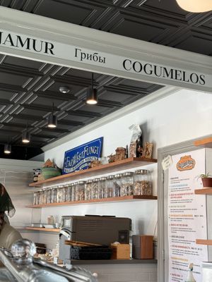   at Far West Fungi in Santa Cruz