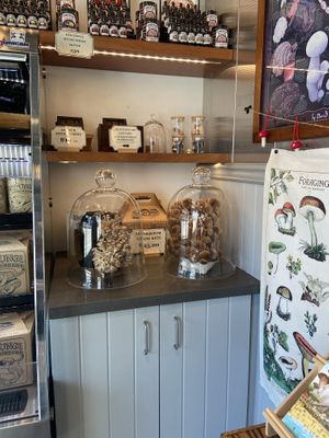 Cool displays  at Far West Fungi in Santa Cruz