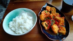 Tofu with tomato + white rice at Bodhi in Hanoi