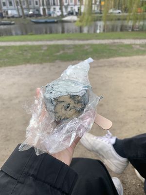 Nutty blue cheese  at Willicroft - Plant Based Cheese Store in Amsterdam